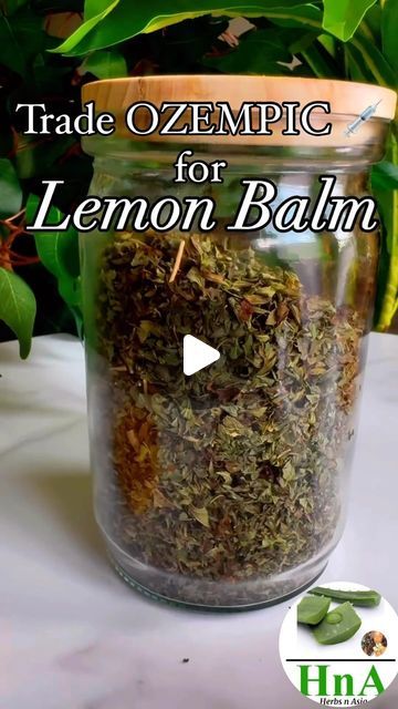 Lemon Balm Tea Ozempic, Lemon Balm Drink, Lemon Balm Drink Ozempic, Lemon Balm Benefits, Lemon Balm Tea, Herbal Healing, Health Journey, Tea Drinkers, Lemon Balm