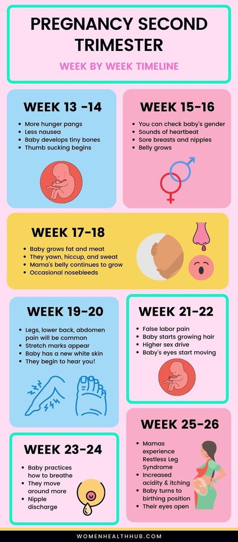 Here's what you should expect in the 2nd trimester of pregnancy. All about second trimester symptoms, essentials and tips. Pregnancy Chart, Pregnancy Facts, Pregnancy Checklist, Pregnancy Info, Pregnancy Guide, Pregnancy Essentials, Pregnancy Information, Pregnancy Signs, Pregnancy Quotes