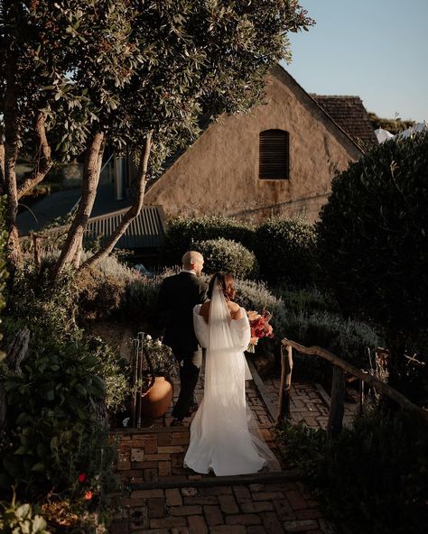 Hollow & Co. | Rebecca & Tim, Mudbrick Vineyard⁠ ⁠ ⁠ ⁠ ⁠ [Wedding Photography, Wedding Photographer, Vineyard Wedding, NZ Wedding, Sunset Photography,... | Instagram Fall Winery Wedding, Nz Wedding, Wedding Sunset, Winery Wedding, Photography Instagram, Winery Weddings, Vineyard Wedding, Photography Wedding, Sunset Photography