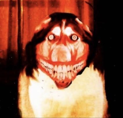 Images Terrifiantes, Smile Dog, Gif Terror, Scary Images, Dog Expressions, Scary Photos, Creepy Smile, Creepy Core, Scary Dogs