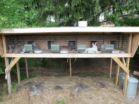 Rabbit Cages Outdoor, Gardening Diy Projects, Rabbit Shed, Rabbit Hutch Plans, Diy Rabbit Cage, Large Rabbit Hutch, Raising Rabbits For Meat, Rabbit Pen, Diy Rabbit Hutch