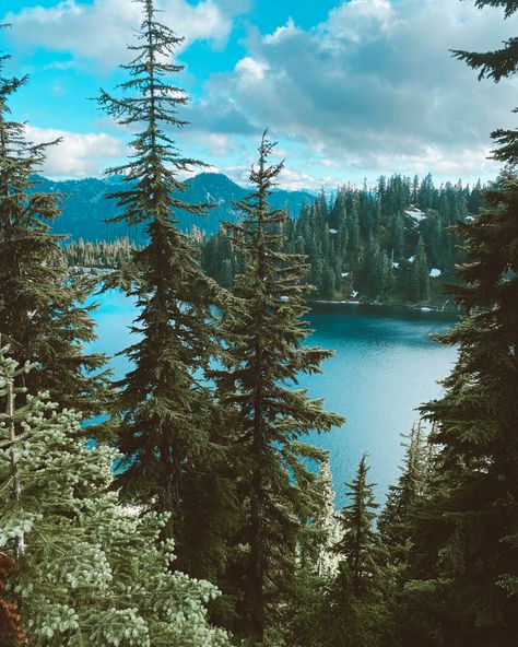 Alpine Lake, Granola Girl, Granola, Washington, Lake, Wallpapers, Natural Landmarks, Travel, Quick Saves