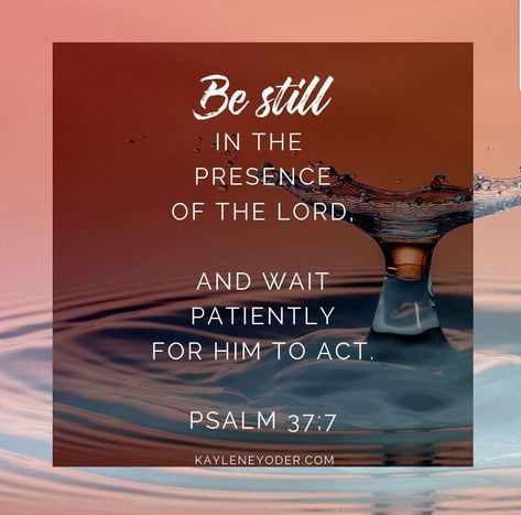 Presence Quotes, Wait On God, Presence Of The Lord, Shield Of Faith, Waiting On God, Free Bible Study, In His Presence, Healing Scriptures, Free Bible