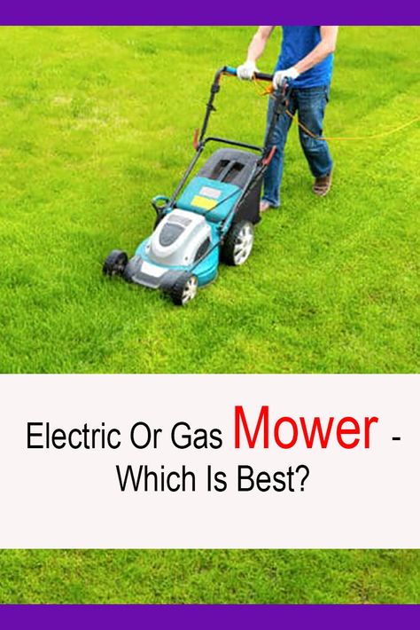 Electric Or Gas Mower - Which Is Best? Common Lawn Weeds, Fall Lawn Care, Electric Mower, Best Lawn Mower, Push Lawn Mower, Dogs Playing, Lawn Mower Blades, Push Mower, Types Of Grass