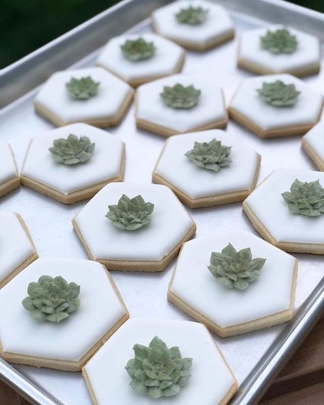 Diy Cookies, Custom Jewelry Ideas, Succulent Cake, Dessert Cookies, Cake Trends, Succulent Wedding, Fancy Cookies, Cookie Inspiration