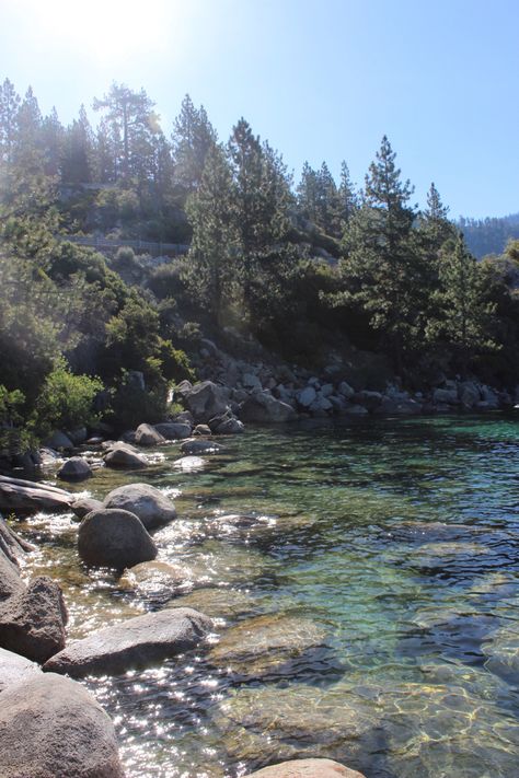 Summer aesthetic, lake tahoe, mermaid core, lake Tom Lake Aesthetic, Lake Tahoe Aesthetic Summer, Great Lakes Aesthetic, Big Creatures, Lake Aesthetics, Summer Pfp, Lake Tahoe Cabin, Lake Tahoe Summer, Tahoe Trip