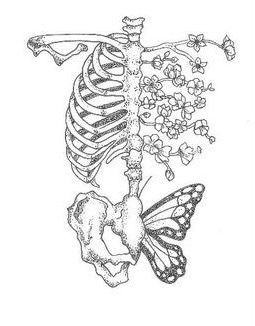 Skeleton butterfly tattoo | Art tutorials drawing, Line art drawings, Skeleton drawings Flowers, Art, Art Drawings, Butterflies, Tattoo Drawing Ideas, Tattoo Art, Drawing Ideas, Skeleton, Drawings