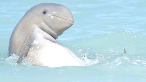 WA creates first oceanic marine park without a sanctuary zone Cashier Problems, Retail Humor, Stylist Quotes, I Love You Song, Short Girl Problems, Working In Retail, Work Memes, Work Humor, Short Girls