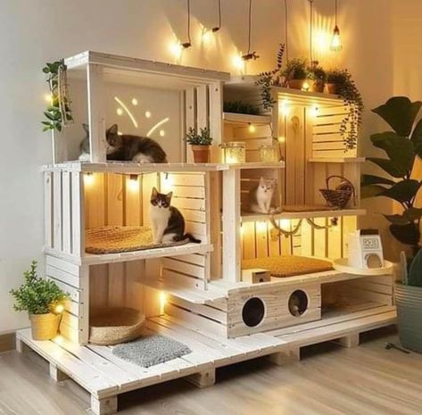 Cat Room Inspiration, Multi Cat Feeding Station, Cat Room Diy, Cat Room Decor, Cat Patio, Diy Cat Tree, Cat Wall Furniture, Cat House Diy, Outdoor Cat House