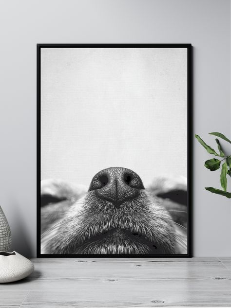 Dog Wall Decor Ideas Bedroom, Framed Dog Pictures Wall Art, Dog Home Accessories, Dog Picture Wall Ideas, Dog Room Wall Decor, Dog Wall Art Decor, Black And White Dog Pictures, Pet Picture Wall Ideas, Dog Picture Ideas Decor