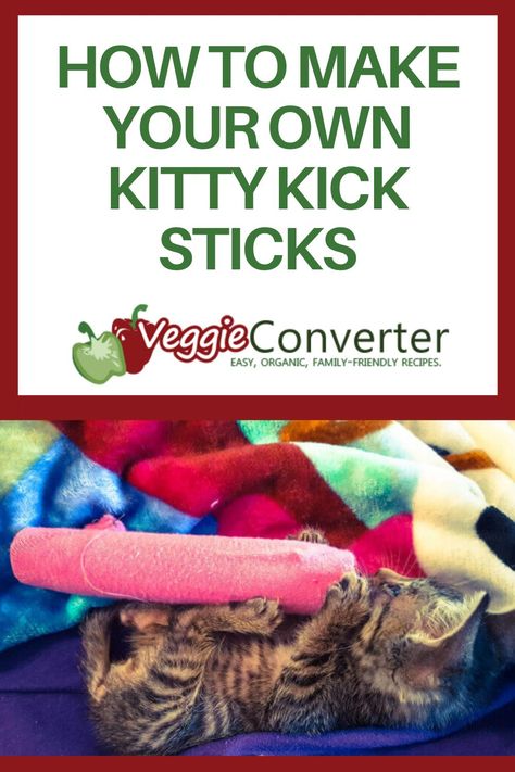 Diy Cat Toys Easy, Kitty Ideas, Homemade Cat Toys, Diy Pet Toys, Diy Cat Toys, Cats Diy Projects, Cat Hacks, Homemade Cat, Pet Ideas