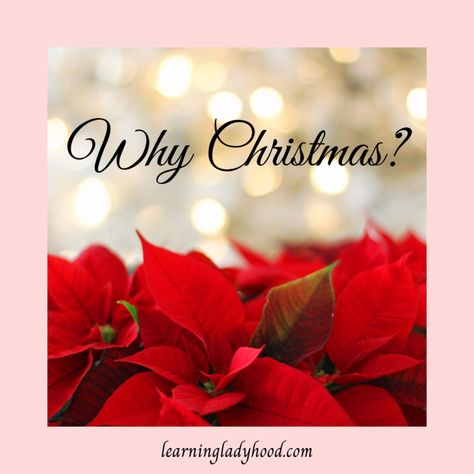 Learning Ladyhood Have A Good Afternoon, Good Afternoon Images, December Images, Afternoon Images, Christmas Learning, Home Images, Good Afternoon Quotes, It's December, Afternoon Quotes