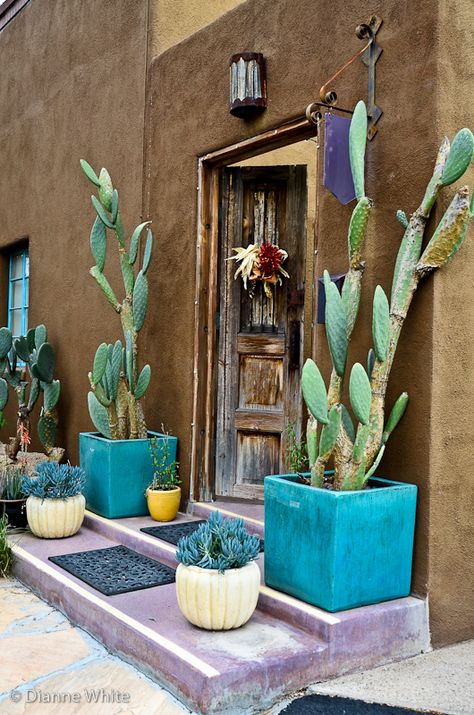 Project Flickr - Week13 - Barrio Door | I love the brown, pu… | Flickr Cactus Garden Landscaping, Turquoise Color Scheme, Downtown Tucson, Mexican Garden, Mexican Home, Southwest Decor, Hacienda Style, Desert Homes, Cactus Garden