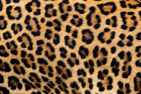 Fur Texture, Leopard Print Fabric, Diamond Weave, Real Fur, Premium Photo, Water Based Ink, Cheetah Print, Free Photos, Fat Quarter