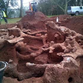 The Burrowers animals underground – a rabbit warren mapped in cement Rabbit Burrow, Rabbit Warren, Landmark Buildings, Summer Projects, Case Study, Cement, Mount Rushmore