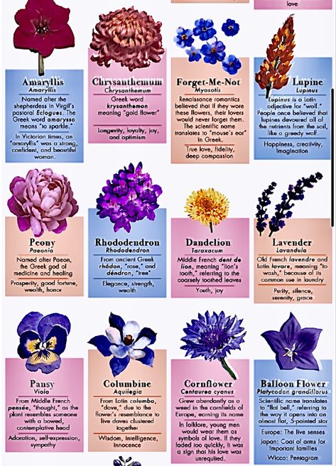 Flower Meanings Chart, Language Flowers, Flowers Chart, Botanical Party, Flowers And Their Meanings, Plants In Baskets, Plant Notes, Flower Chart, Giving Flowers