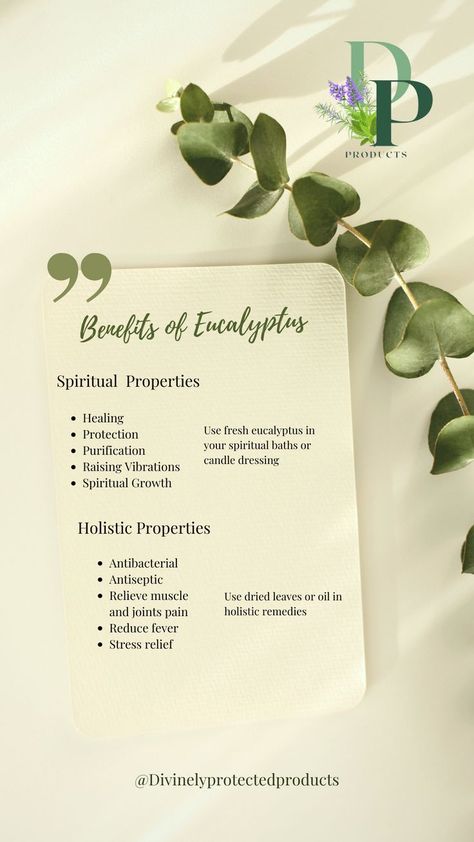 List of spiritual and holistic benefits of Eucalyptus Eucalyptus Spiritual Uses, Magical Properties Of Eucalyptus, Eucalyptus Plant Benefits, Eucalyptus Properties Magic, Eucalyptus Meaning Witchcraft, Eucalyptus Spiritual Meaning, Eucalyptus Symbolism, Eucalyptus Tea Benefits, Eucalyptus Magical Properties