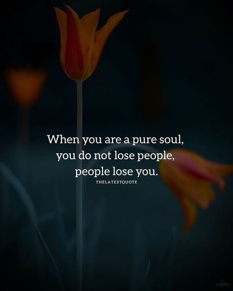 When you are a pure soul, you do not lose people, people lose you. . . . . 📸@osmantpcu . #thelatestquote #people #puresoul #lose Pure Soul, Inspirational And Motivational Quotes, Deep Thoughts, Inspiring Quotes, Favorite Quotes, Life Lessons, Wise Words, So True, The Words