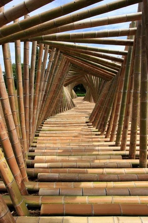 Bamboo bridges are not only structurally fantastic pieces of work, they are without doubt the most beautiful works of bamboo art on a grand scale. Take for example the Bamboo Cane Bridge, Village K… Bamboo Structure, Bamboo Architecture, Land Art, The Shape, Amazing Architecture, Walkway, Landscape Architecture, Habitat, Kyoto