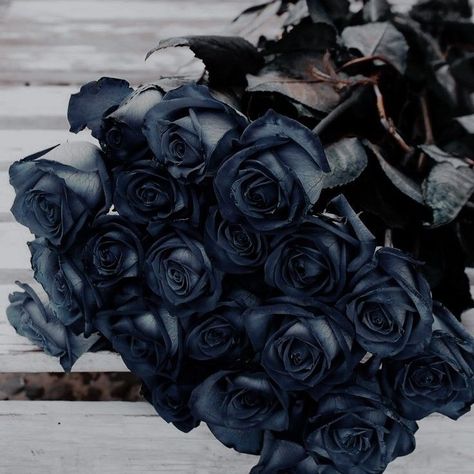 Caitlyn Snow, Corpse Bride Wedding, God Of Ruin, Killer Frost, Rosé Aesthetic, Black Roses, Gothic Aesthetic, Corpse Bride, + Core + Aesthetic