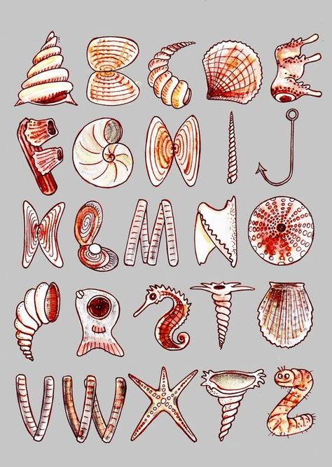 Design Museum on Twitter: "#DidYouKnow #CharlottePerriand got many of her design inspirations from the natural forms she collected on the Normandy coast, collecting anything she could find, from shells to driftwood. Tomorrow's #FontSunday from noon is dedicated to the beach. 🏖️ #PerriandLiving… https://t.co/ZRG6suOnJ4" Ocean Fonts Alphabet, Letters As Objects, Ocean Letters, Ocean Typography, Type Hierarchy, Ocean Font, Ocean Alphabet, Simple Alphabet, Fonts Dafont