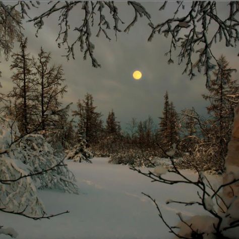 Kaamos (the polar night) in Finnish Lapland Snowy Woods, Winter Szenen, I Love Winter, Winter Magic, Winter Scenery, The Full Moon, Winter Beauty, Beautiful Moon, Snow Scenes