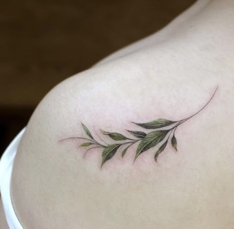 Watercolor Compass Tattoo, Ivy Tattoo, Branch Tattoo, Ribbon Tattoos, Small Pretty Tattoos, Vine Tattoos, Small Arm Tattoos, Bird Photos, Botanical Tattoo