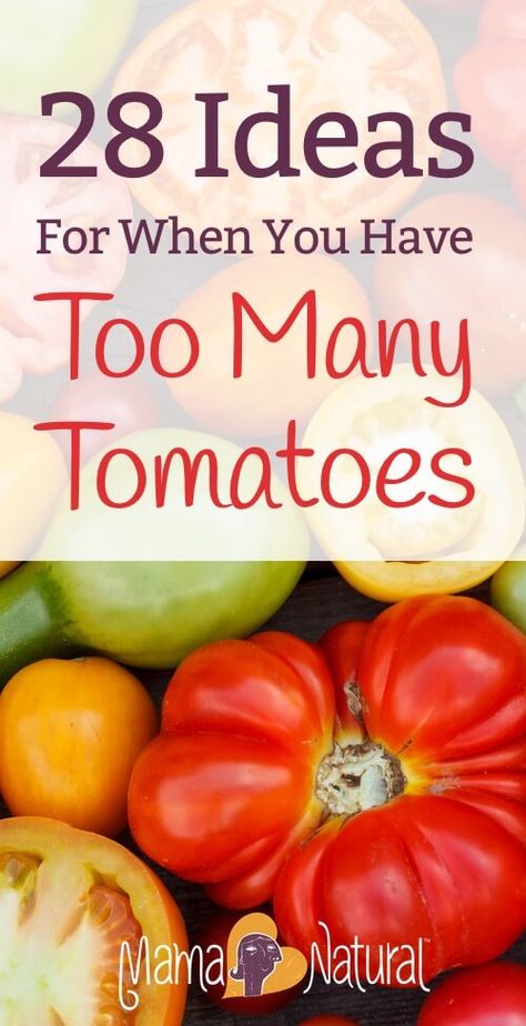 Extra Tomatoes, Too Many Tomatoes, Fresh Tomato Recipes, Types Of Tomatoes, Garden Tomatoes, Mama Natural, Garden Veggies, Tomato Garden, Deilig Mat