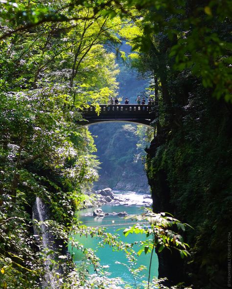 Day trip to Takachiho Gorge: Kyushu's Mythological Gem 🌿🇯🇵 Steeped in ancient mythology and an incredible spiritual aura to be felt throughout, there is more to this area than the famed waterfall 💚 While this absolute gem has been on my wish list since 2018, I was completely blown away by just how beautiful the Takachiho area is. It was definitely worth the wait, and is officially one of my favourite places I've visited in Japan over the past decade 🥰 Not only did the spiritual vibe complet... Takachiho Gorge, Sending Positive Energy, Takachiho, Spiritual Aura, Out Of Service, Living In New Zealand, Passport Travel, Ancient Mythology, Kyushu