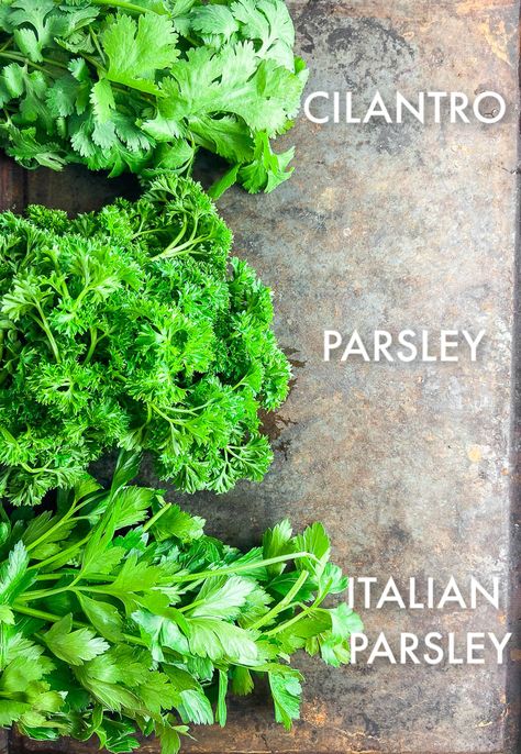 Photo of Cilantro, Parsley and Italian Parsley Flat Iron Steak Recipes, Cooking With Herbs, Types Of Basil, Cilantro Parsley, Herbs Growing, Easy Herbs To Grow, Most Pinned Recipes, Caprese Recipes, Herb Life