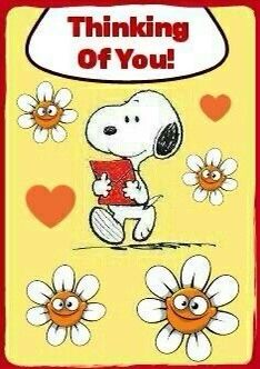 Snoopy Thinking Of You, Snoopy Thinking, Charlie Brown Cartoon, Peanut Pictures, Charlie Brown Quotes, Peanuts Charlie Brown Snoopy, Happy Morning Quotes, Get Well Wishes, Snoopy Images