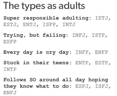 Types as adults Mbti Compatibility Chart, Mbti Compatibility, Mbti Functions, Mbti Istj, Istj Personality, Infp Personality Type, Intp Personality Type, Mbti Memes, Intp Personality