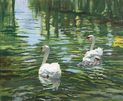 Family of swans on a stream Aesthetic Swan Painting, Garden Breakfast, Swan Photography, Green Swan, Swan Pictures, Swan Wallpaper, Green Pond, Swan Painting, Pond Painting