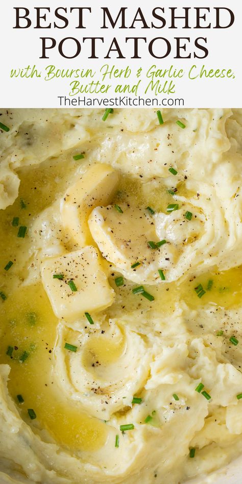 Up your mashed potatoes game with this crowd pleasing Boursin Mashed Potatoes recipe. These Boursin cheese mashed potatoes are rich and creamy and they rival any upscale restaurant out there. Cheese Mashed Potatoes Recipe, Boursin Mashed Potatoes, Classic Mashed Potatoes, Upscale Restaurant, Cheese Mashed Potatoes, Main Course Meals, Harvest Kitchen, Best Mashed Potatoes, Mashed Potatoes Recipe