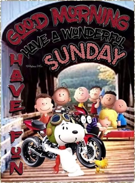 Happy Sunday Snoopy Mornings, Snoopy Happy Sunday Good Morning, Snoopy Super Bowl Sunday, Monday Morning Greetings, Snoopy Hug, Peanuts Snoopy Woodstock, Joe Cool, Snoopy Quotes, Snoopy Pictures