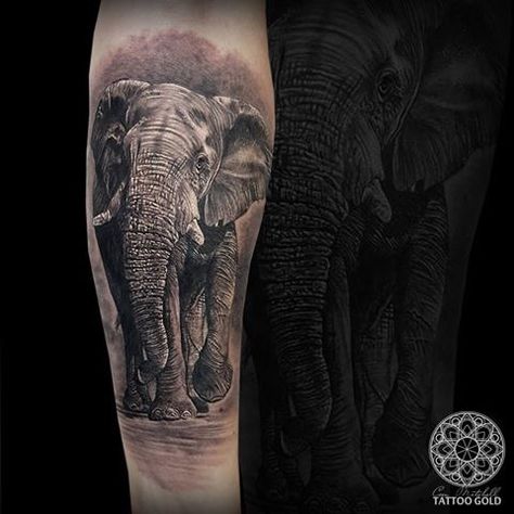 Elephant Tattoos Men, Tattoos Men Leg, Cycling Posters, Shape Tattoo, Elephant Pictures, Tattoo Prices, Sun Tattoos, Elephant Tattoo, Elephant Tattoos