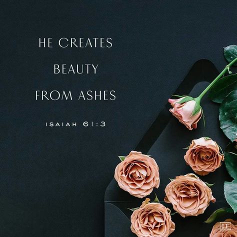 When we have an encounter with Jesus, He creates beauty from ashes (Isaiah 61:3). He gives us a right mind and clear vision. He gives us peace (John 14:27) for He is the Prince of Peace (Isaiah 9:6). We become a new creation in Him ( 2 Corinthians 5:17) Beauty From Ashes, Isaiah 61, Ayat Alkitab, Inspirational Bible Quotes, Biblical Quotes, Bible Quotes Prayer, Inspirational Bible Verses, Favorite Bible Verses, Scripture Quotes