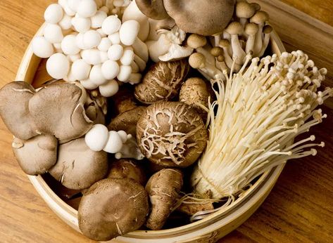 6 Incredibly Healthy Side Effects of Eating Mushrooms | Eat This Not That Unique Kitchen Ideas, Mushroom Types, Recipes Mushrooms, Cooking Charts, Mushroom Guide, Sauteed Chicken Breast, Types Of Mushrooms, Marsala Sauce, Mushroom Varieties