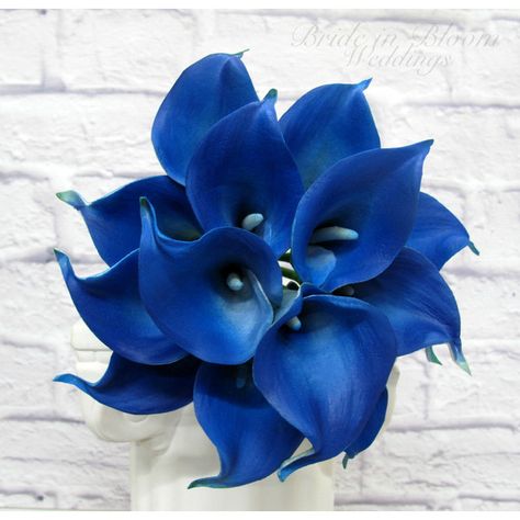 Calla lily Wedding bouquet Royal blue real touch bridesmaid bouquet ($104) ❤ liked on Polyvore featuring home, home decor, floral decor, blooming bouquet, royal blue home decor, calla lily bouquet, flower home decor and flower stem Royal Blue Home Decor, Bouquet Royal Blue, Royal Blue Bouquet, Calla Lillies Bouquet, Peacock Decoration, Calla Lily Wedding Bouquet, Calla Lily Boutonniere, Wedding Bouquet White, Lily Wedding Bouquet