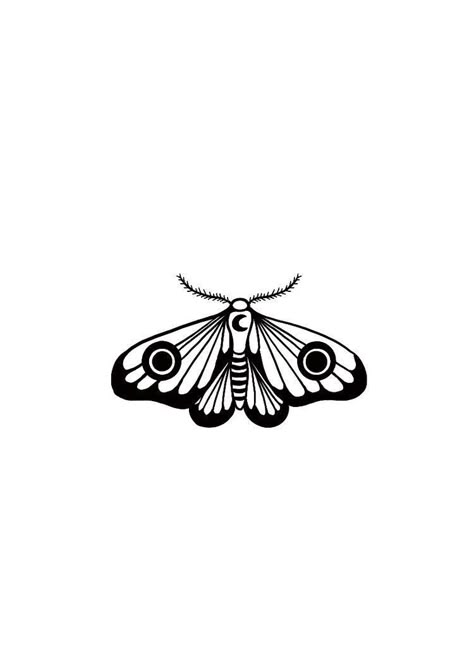 Moth Tattoo Simple, Simple Moth Tattoo, Tatuaje Cover Up, Tatoo Inspiration, Ac New Leaf, Moth Tattoo, Dainty Tattoos, Tattoo Flash Art, Tattoo Outline