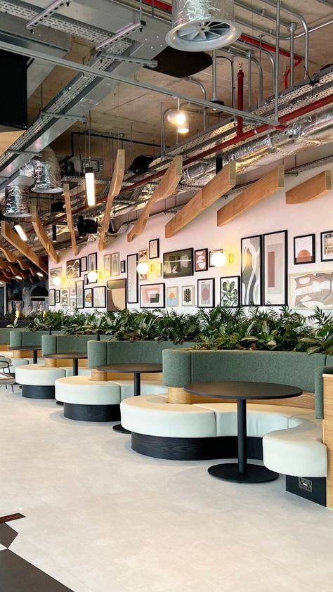 Beautiful planting within restaurant seating and floor standing Ficus and Kentias Restaurant Booth Seating Ideas, Booth Restaurant Design, Restaurant Feature Wall, Booth Seating Design, Booth Seating Restaurant, Seating Booth, Built In Booth, Biophilic Office, Banquette Seating Restaurant