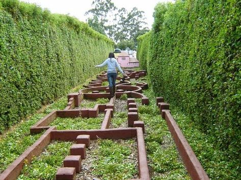 18 Awesome Ideas For School Playgrounds - WeAreTeachers Outdoor Play Areas, Diy Playground, Sensory Garden, Kids Outdoor Play, School Playground, Children's Garden, Natural Playground, Playground Design, Outdoor Classroom