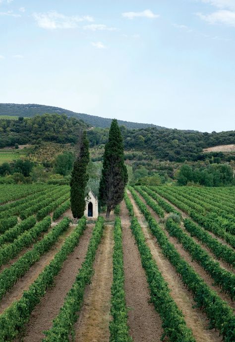 Why Languedoc Is Like Nowhere Else in France - Condé Nast Traveler Bordeaux, Nature, Tour De France, Languedoc France, Addie Larue, Spain Trip, France Travel Guide, Travel France, Beaux Villages