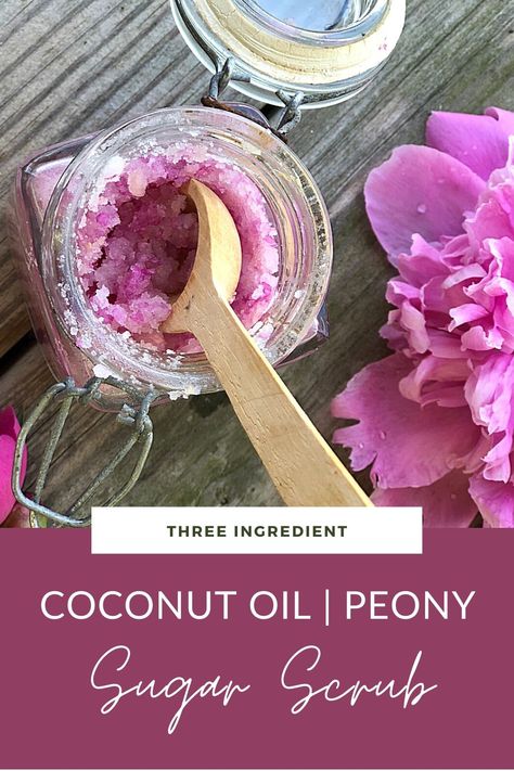 Coconut Oil-Peony Sugar Scrub is a super simple three ingredient sugar scrub that is the perfect gift idea to keep or share this summer. Easy Sugar Scrub, Diy Body Scrub Recipes, Lip Scrub Homemade, Body Scrub Recipe, Lip Scrub Diy, Sugar Scrub Recipe, Diy Body Scrub, Sugar Scrub Diy, Diy Scrub