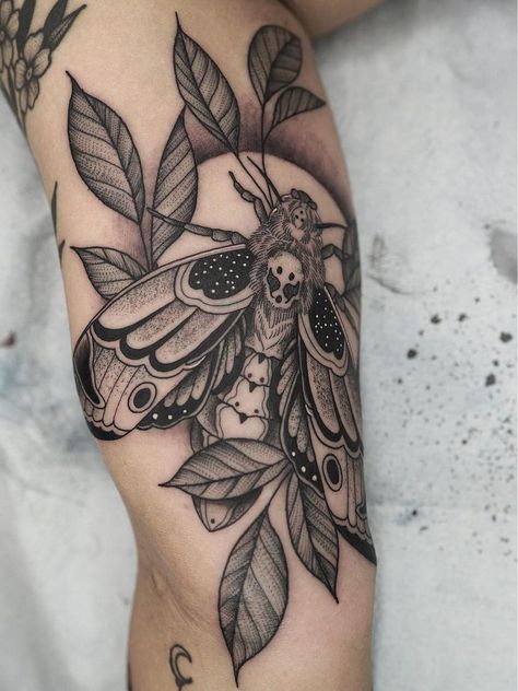 Natur Tattoo Arm, Background Tattoo, Moth Tattoo Design, Linework Tattoo, Illustration Kunst, Insect Tattoo, Nature Tattoo, Inspiration Tattoos, Tattoos Geometric