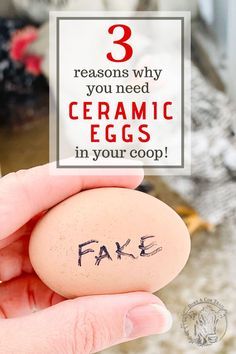 Ceramic Eggs, Cute Chicken Coops, Backyard Chicken Coop Plans, Chicken Nesting Boxes, Backyard Chicken Farming, Chicken Life, Chicken Run, Laying Hens, Raising Backyard Chickens