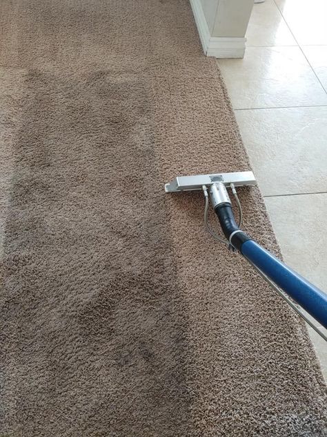 #CarpetCleaningWestLakes in #WestLakes, SA, 5021. Business contact details for Carpet Cleaning West Lakes including phone number, reviews & map location - TrueLocal How To Clean Laminate Flooring, Hall Carpet, Clean Tile Grout, Carpet Cleaning Hacks, Carpet Cleaning Company, Professional Carpet Cleaning, Carpet Cleaning Service, Cleaning Companies, Commercial Carpet