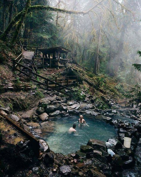 Terwilliger Hot Springs | cougar hot springs Herbarium Aesthetic, Hot Springs Oregon, Halong Bay, Oregon Travel, Destination Voyage, Hot Spring, Blue Water, Hot Springs, Cruises