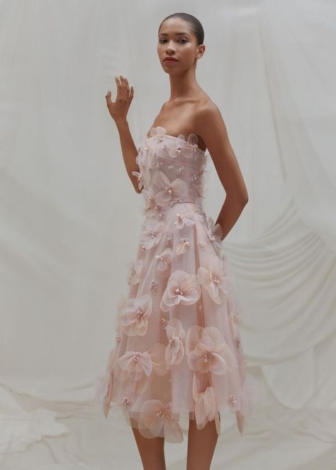 Resort 2024 Collection, Runway Gowns, Pamella Roland, Resort 2024, Couture Wedding Gowns, Couture Details, Gala Dresses, Gowns Of Elegance, Couture Gowns