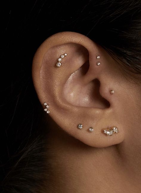 Tragus On Both Ears, Side Tragus Piercing, Piercings Chart, Anti Tragus Piercing, Ear Piercings Chart, Piercing Chart, Anti Tragus, Tragus Piercing, Tragus Piercings